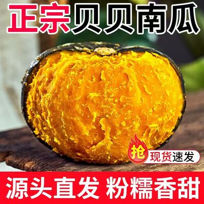 正宗贝贝南瓜软糯香甜小南瓜孕妇宝宝辅食营养代餐板栗味