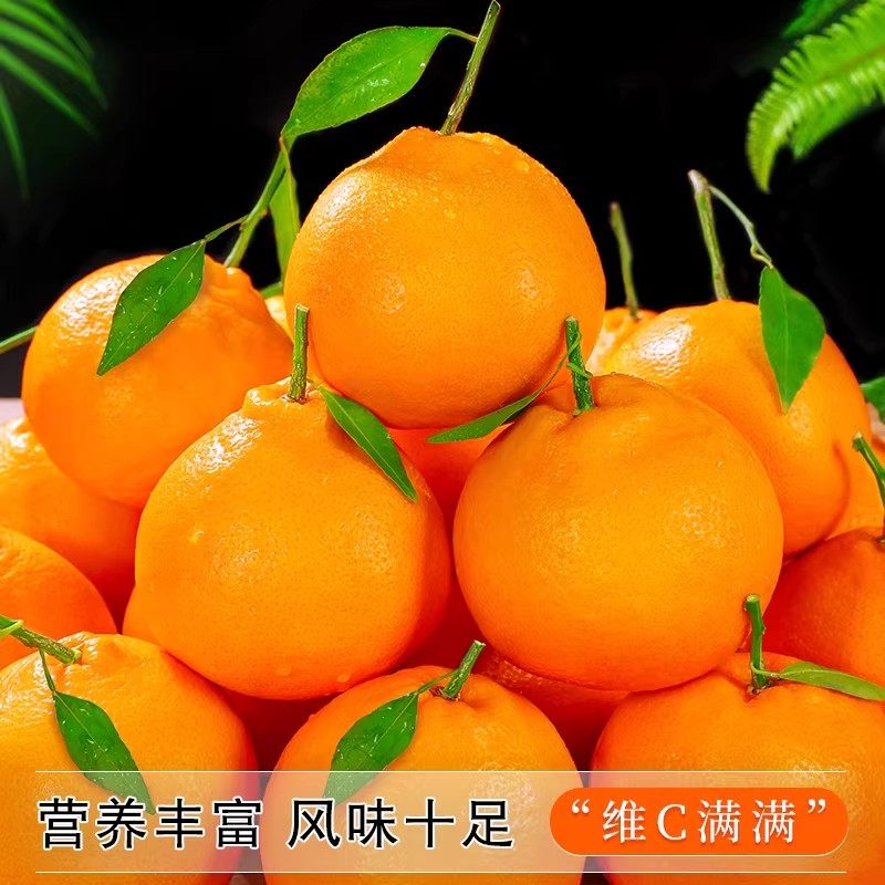 四川春见耙耙柑正宗新鲜水果当季丑粑粑八怪桔不橘子知火整箱包邮,淘宝优惠券,粉丝福利购,淘宝优惠卷