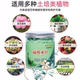 Ferrous sulfate water-soluble fertilizer