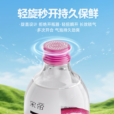荣帝百香果味苏打水0糖0脂0卡
