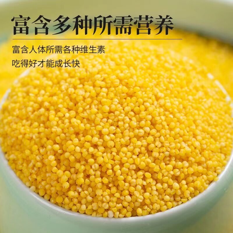 赤峰黄小米新黄小米孕妇月子宝宝小米粥五谷杂粮小黄米