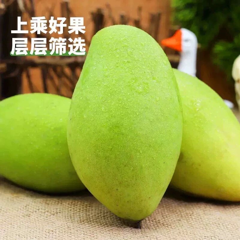 越南进口玉芒新鲜芒果应当季水果整箱包邮大热带特产正宗青皮