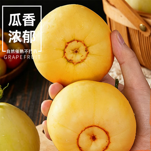 顺丰包邮蜜罐香瓜甜瓜新鲜水果当季蜜瓜沂蒙甜脆蜜糖罐小蜜蜂玉菇 - 图0