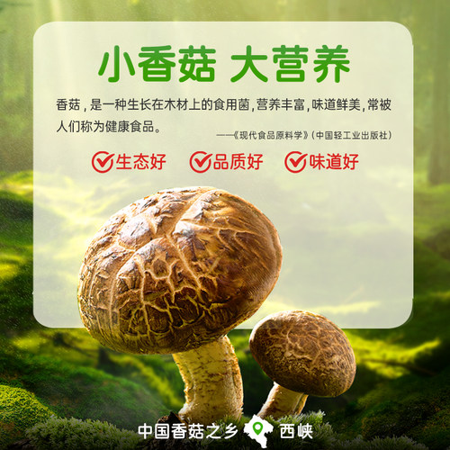 仲景香菇酱蘑菇酱暴下饭酱菜招牌拌饭拌面酱品质0添加防腐剂葱油 - 图1