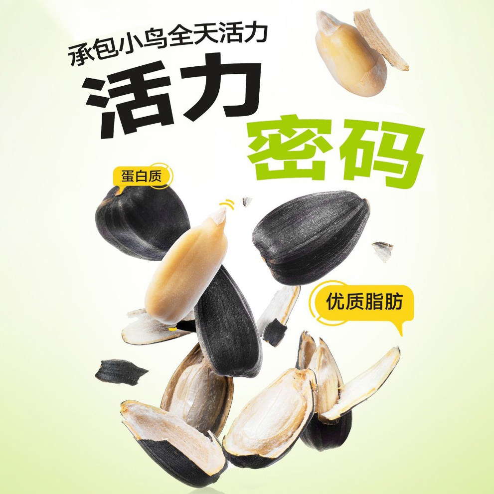 新油葵黑瓜子鹦鹉鸟粮饲料玄凤牡丹营养瓜子零食靓羽美毛新货训练,淘宝优惠券,粉丝福利购,淘宝优惠卷