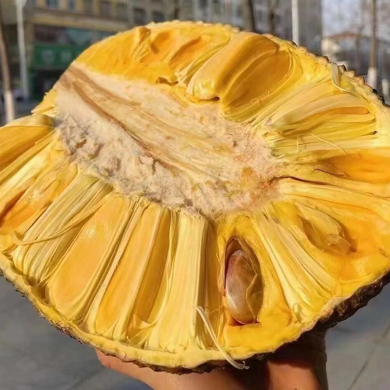 越南进口红肉菠萝蜜当季热带新鲜水果金黄橙黄果肉波罗蜜脆甜,淘宝优惠券,粉丝福利购,淘宝优惠卷