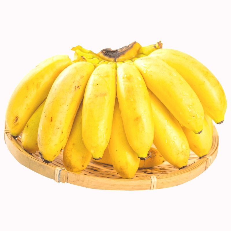 广西小米蕉当季新鲜水果9斤包邮整箱自然熟banana苹果5粉香蕉入口 - 图3