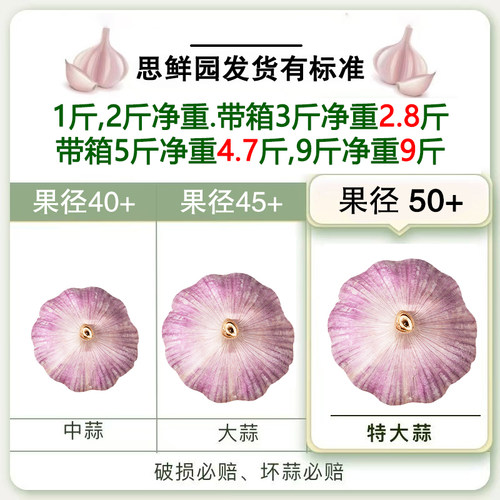 今年新干蒜5斤大蒜头农家大蒜当季新鲜蔬菜包邮自提紫皮回购净重 - 图0