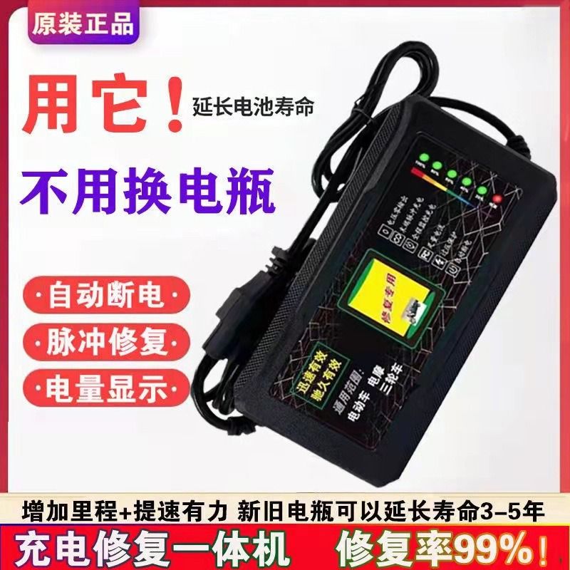 电动车电瓶充电器48v12ah60v20a72v爱玛雅迪石墨烯通用电池铅酸 - 图2