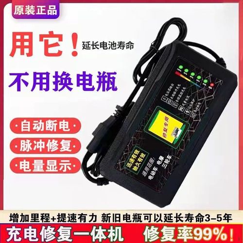 电动车电瓶充电器48v12ah60v20a72v爱玛雅迪石墨烯通用电池铅酸