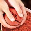 Red worms and crucian carp eat fishing-scented bait