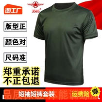 Physical Training Suit Short Sleeve Shorts Suit Summer Fitness Clothing Sports Speed Dry Blouse T-Shirt For Training Round Collar