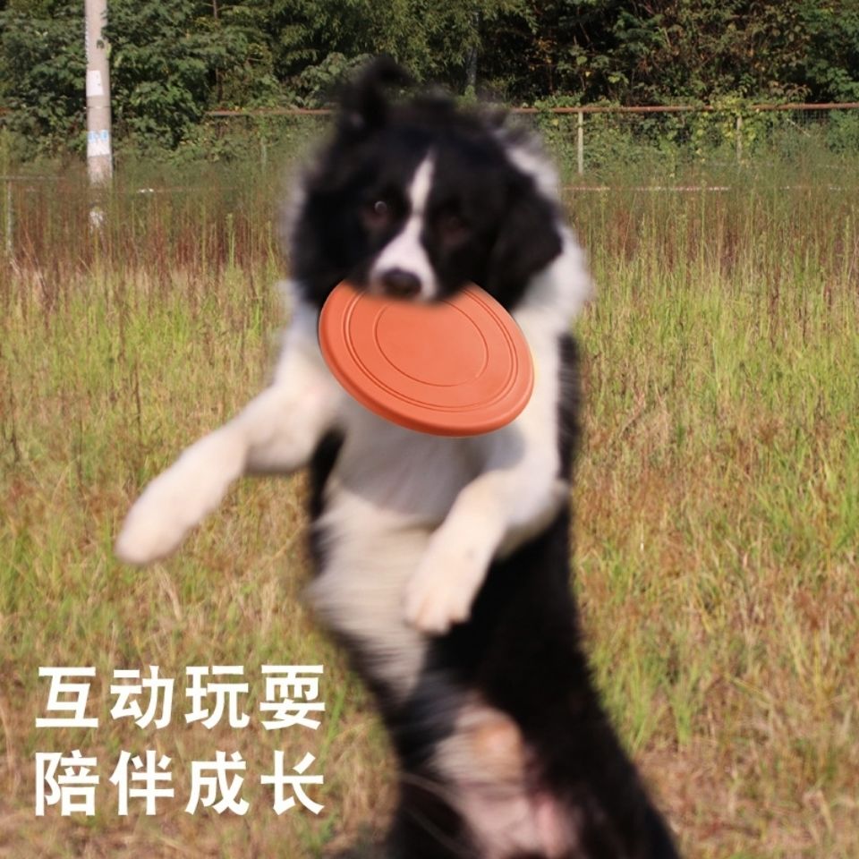 狗狗飞盘边牧金毛泰迪宠物狗专用耐咬训练飞碟回力标玩具互动发声 - 图2
