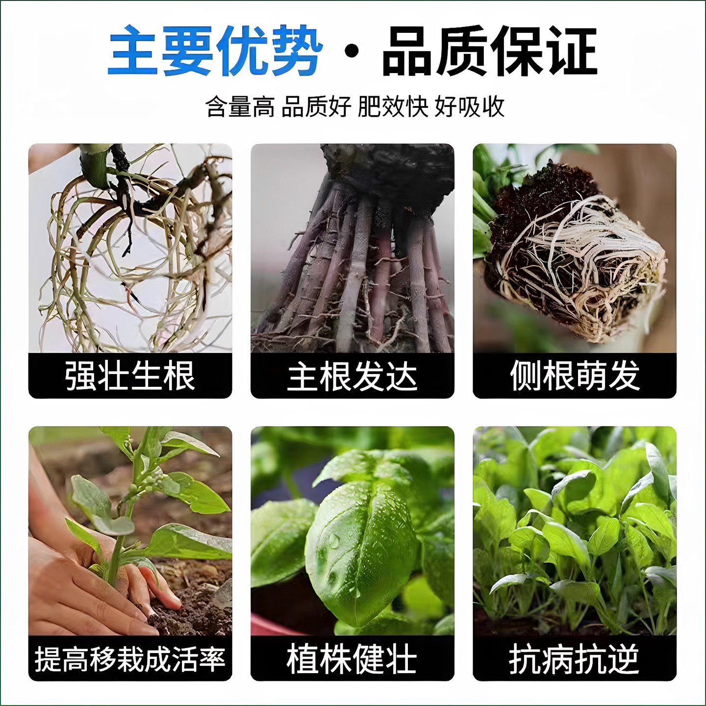 强力生根粉多灵菌快速扦插植物通用花卉果树木移栽专用营养肥料,淘宝优惠券,粉丝福利购,淘宝优惠卷