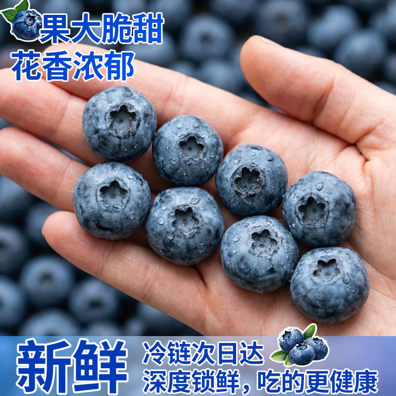 蓝莓新鲜水果孕妇水果超大果云南L25脆甜花香蓝莓顺丰包邮