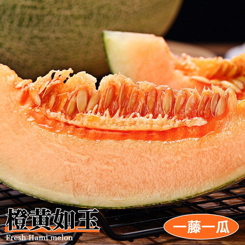 正宗哈密瓜新鲜水果当季现摘脆甜网纹瓜西州蜜香瓜老汉瓜整箱包邮,淘宝优惠券,粉丝福利购,淘宝优惠卷