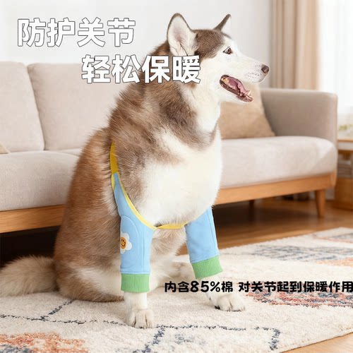 宠物关节防护套金毛大狗狗衣服秋冬保暖护肘护膝边牧中大型犬卡扣 - 图1