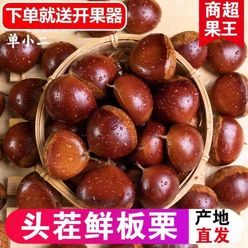 正宗丹东板栗当季新货新鲜板栗栗子高山农家毛栗子净重2.8/4.8斤