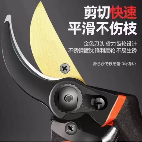 园艺修枝剪专业级工艺艺园剪刀剪枝条果树专用高效省力果林花园剪 - 图1