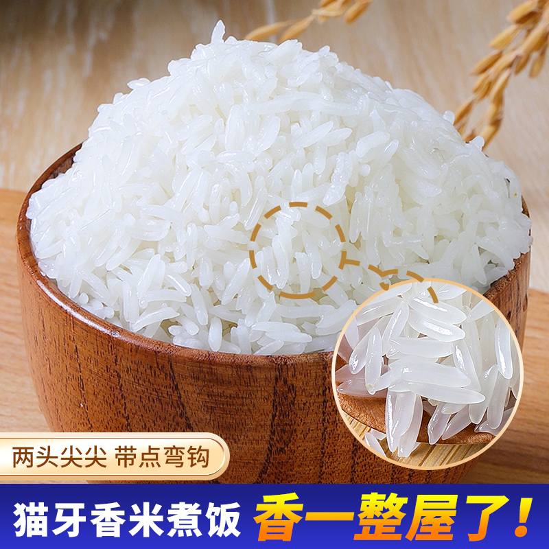 进口柬埔寨香米大米长粒香米猫牙米当季新米真空包装5/10斤多规格 - 图2