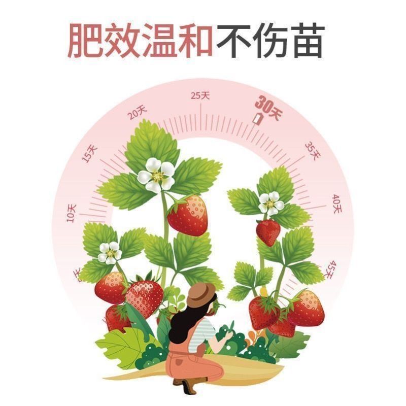 草莓肥料专用肥盆栽有机肥料植物营养液通用型坐果期促果园艺生长 - 图2