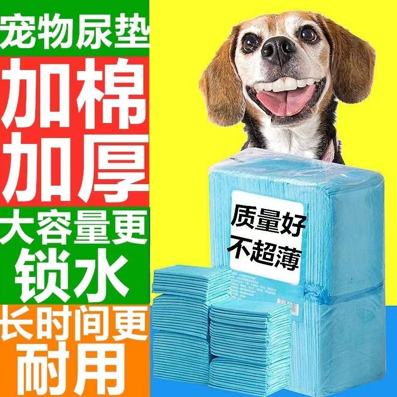 狗狗猫咪尿垫尿片宠物用品厕所除臭吸水加厚100片一次性尿布定点 - 图0