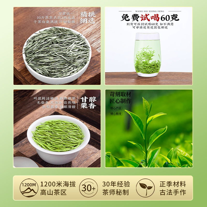 毛尖茶叶特级2024新茶信阳明前绿茶官方旗舰店正品春茶叶散装250g