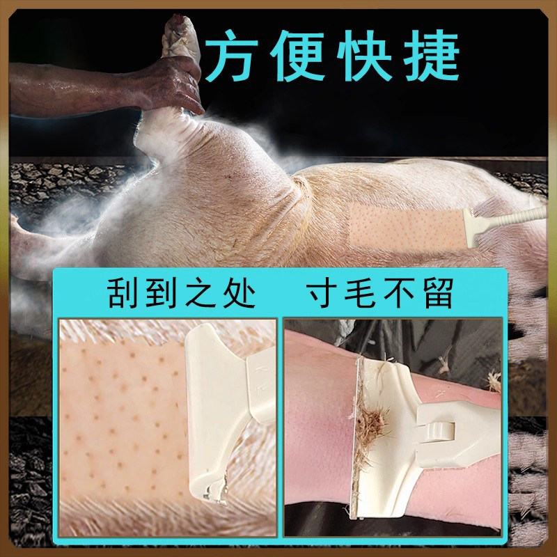 猪光光刮猪油神器刮猪皮专用刀刮猪毛专用刀刀片刮猪毛神器厨用。,淘宝优惠券,粉丝福利购,淘宝优惠卷