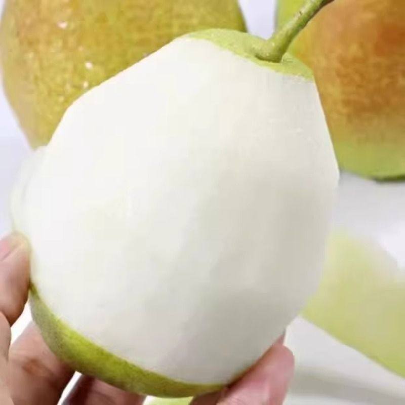 新疆库尔勒香梨全母梨子新鲜孕妇水果国家地理标志产品,淘宝优惠券,粉丝福利购,淘宝优惠卷