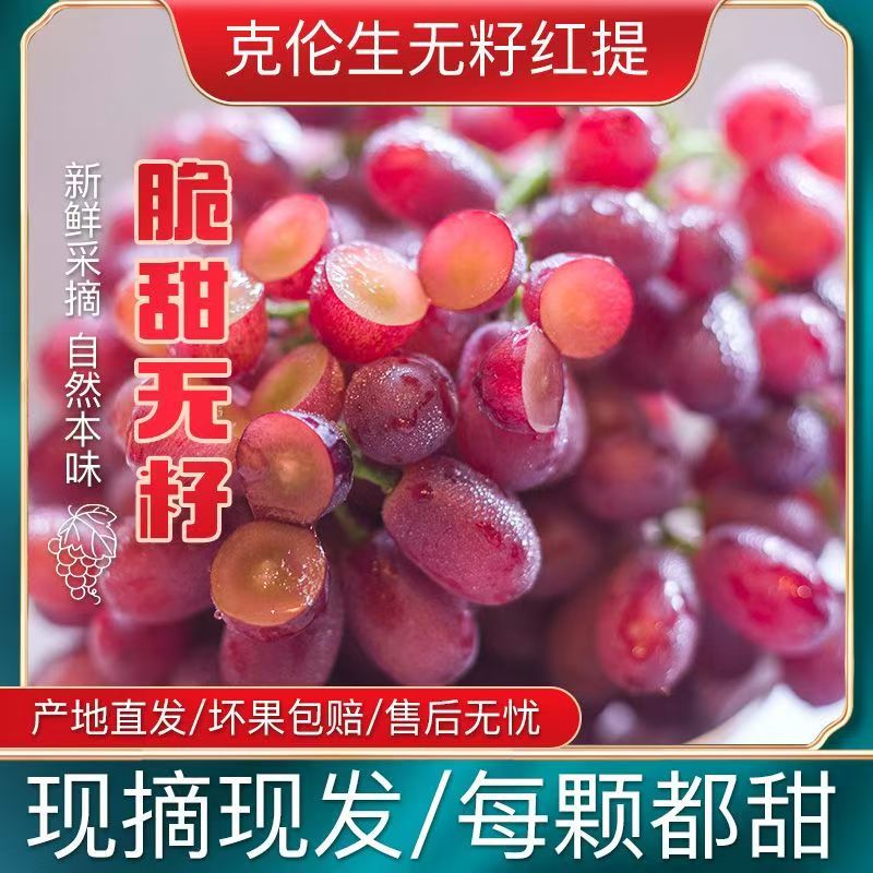 现摘正宗克伦生无籽红提葡萄新鲜脆甜现摘无核整箱4/5斤 - 图1