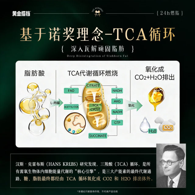 ສູນ​ເສຍ​ນ​້​ໍ​າ​ນ​້​ໍາ​ຫນັກ scraping tool L-carnitine ກະ​ທັດ​ຮັດ ທ້ອງ​ໃຫຍ່ ຫຼຸດ​ຜ່ອນ​ໄຂ​ມັນ​ທ້ອງ​ເຜົາ​ໄຫມ້​ແຄບ​ຊູນ​ເສີມ​ເສີມ​ຂະ​ຫຍາຍ​ຢາ​ເມັດ metabolism