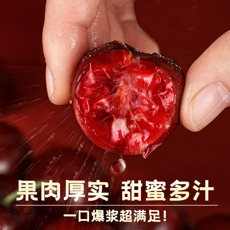山东烟台 国产车厘子推荐脆甜国产美早樱桃现摘现发新鲜爆汁