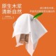 Planting and protection large-capacity hanging paper extraction box