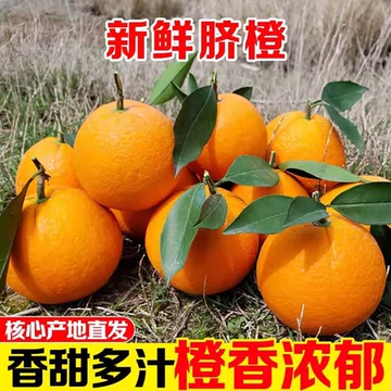 正宗纽荷尔脐橙*9斤/65-80mm！[9元优惠券]-寻折猪
