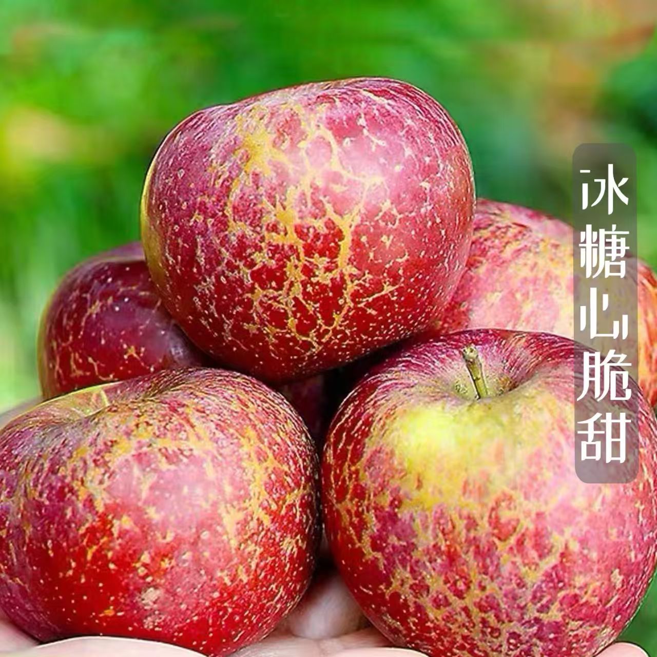 Crisp and sweet Daliang Mountain authentic plateau rock candy heart ugly apple orchard seasonal fresh fruit whole box high quality juicy