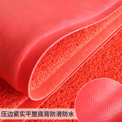 入户门地垫进门大门口出入平安门垫2025新款丝圈脚垫门外地毯防滑 - 图2