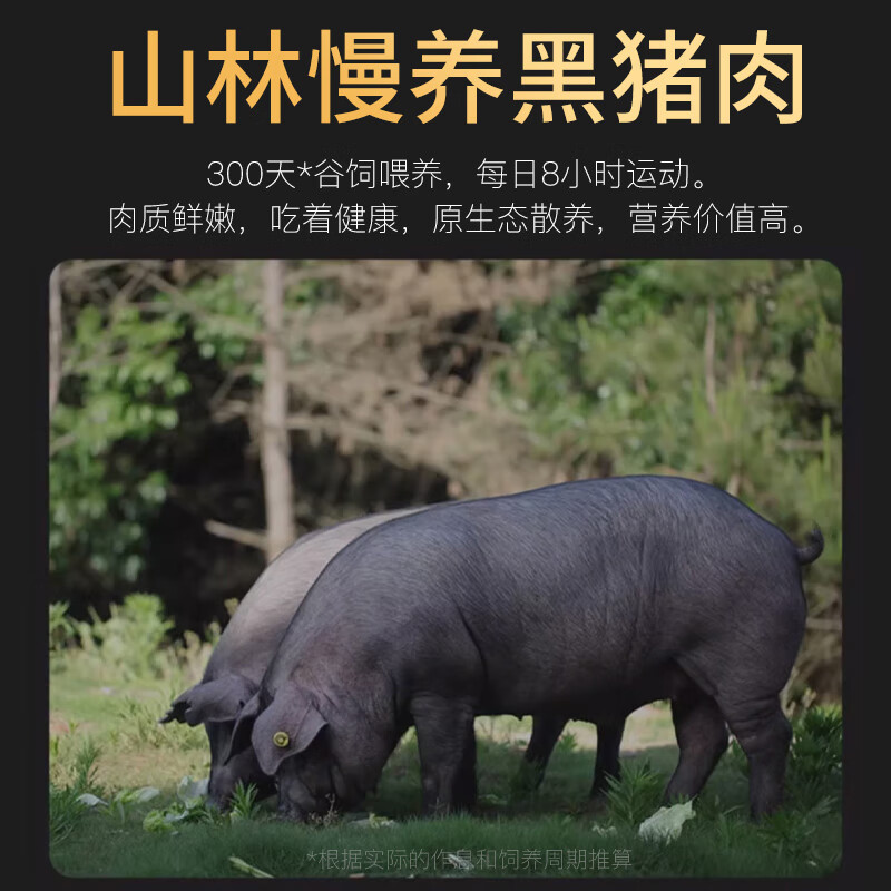 黑猪肉烤肠即食爆汁纯肉火山石台湾热狗火腿肠脆皮肠甄选黑椒原味 - 图1