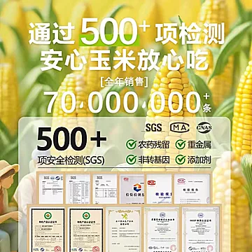 金沃瑞丰有机白糯玉米220g*8根[10元优惠券]-寻折猪