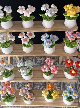 10盆教师节员工礼物手工编织盆栽成品毛线仿真花汽车桌面摆件装饰