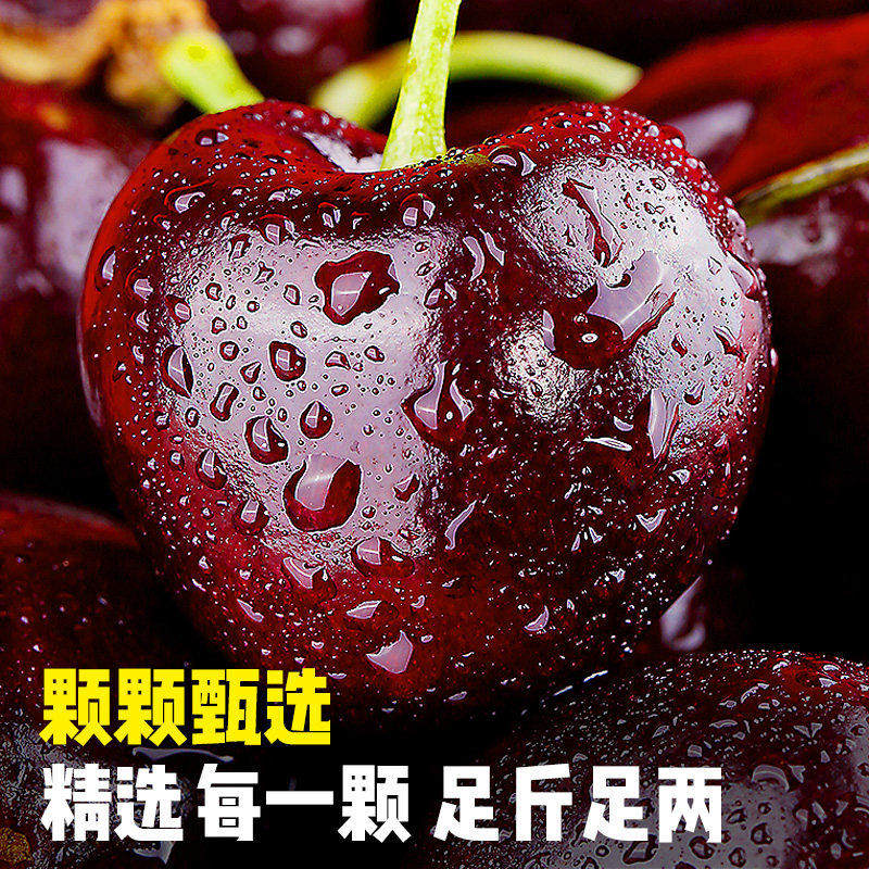 智利进口车厘子5斤4J礼盒装新鲜水果当季整箱孕妇大樱桃包邮原箱,淘宝优惠券,粉丝福利购,淘宝优惠卷