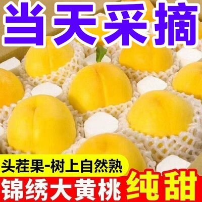 黄桃新鲜水果当季整箱黄金蜜锦绣黄毛桃应季孕妇水果桃子鲜甜多汁