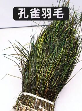 孔雀羽毛飞蝇绑制材料孔雀羽线刺绣工艺品飞蝇钩纯天然孔雀羽毛