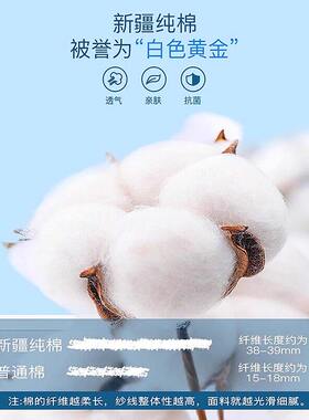 精梳棉护膝盖保暖老寒腿女男士关节老人夏天夏季轻薄款空调房防寒
