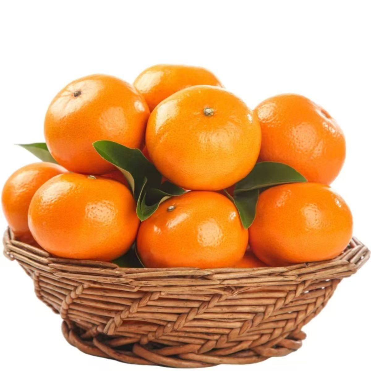 正宗广西武鸣沃柑薄皮柑橘子9斤新鲜桔子水果橘子当季皇帝蜜柑