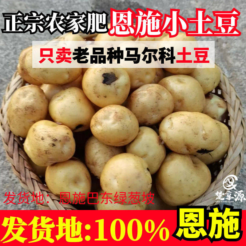 【恩施富硒小土豆】黄皮黄心土豆批发新鲜蔬菜洋芋现挖马铃薯整箱