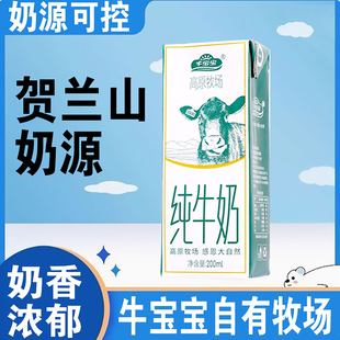 宁夏纯牛奶优质蛋白早餐奶10盒装