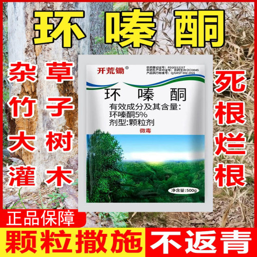 环嗪酮除草烂根剂一扫光除大树烂根粉灌木强力颗粒剂杀树免稀释-图0