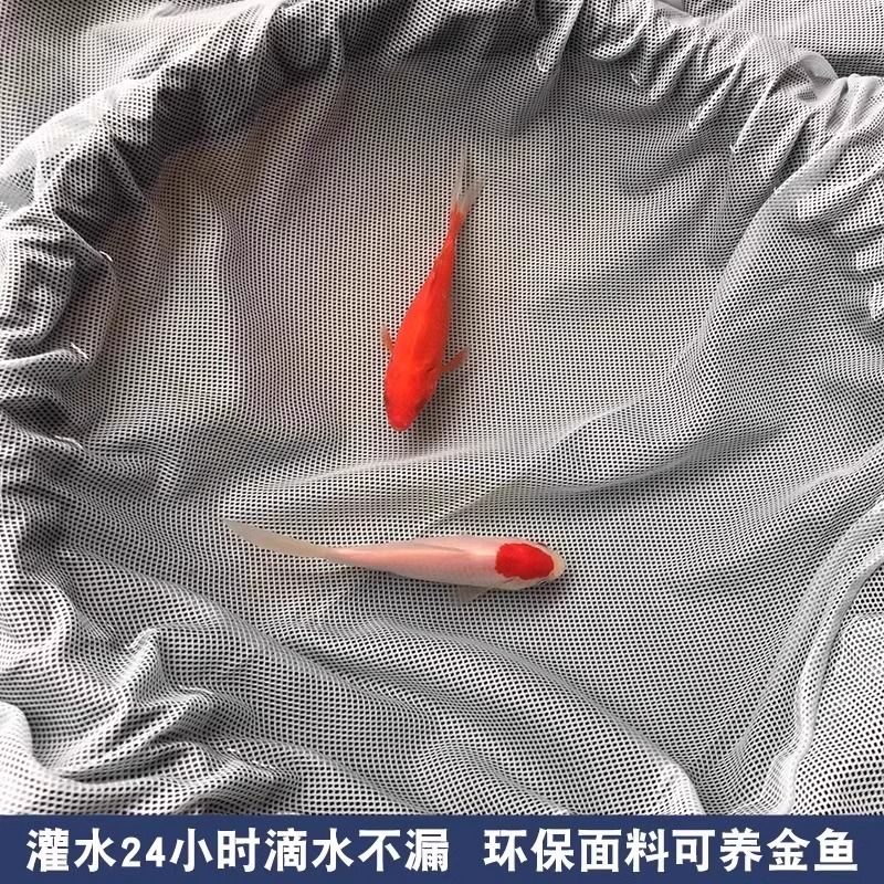 雨衣雨裤套装长款全身防水男女分体电动车外卖骑行反光防暴雨雨披 - 图1