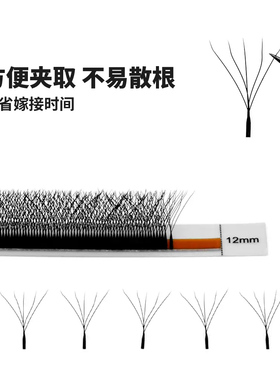 LAGEE拉歌五叶草单根嫁接睫毛