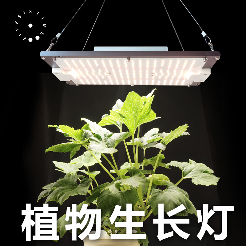 时五六 植物生长灯 全光谱灯 LED植物补光灯 园艺多肉补色灯